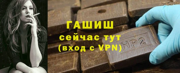 дмт Гусев