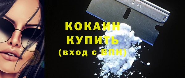 дмт Гусев