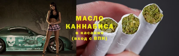 дмт Гусев