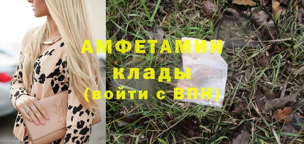 дмт Гусев
